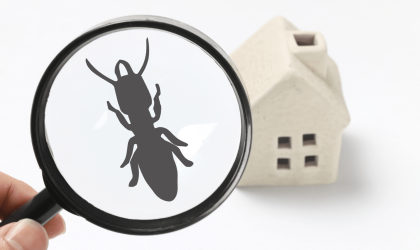 Ensuring Safety and Effectiveness: Legal Requirements for Selling Pest Control Products in Australia